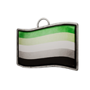 Aromantic flag charm