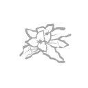 Botany Knowledge